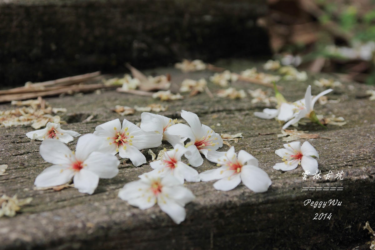 20251013-c5zh7 20251013-c5zh7