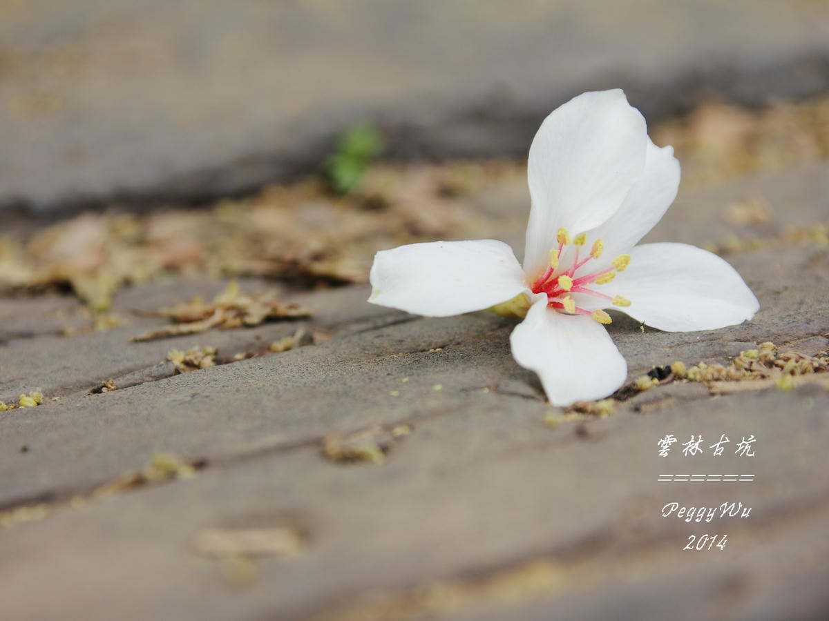 20251013-ct7ym 20251013-ct7ym