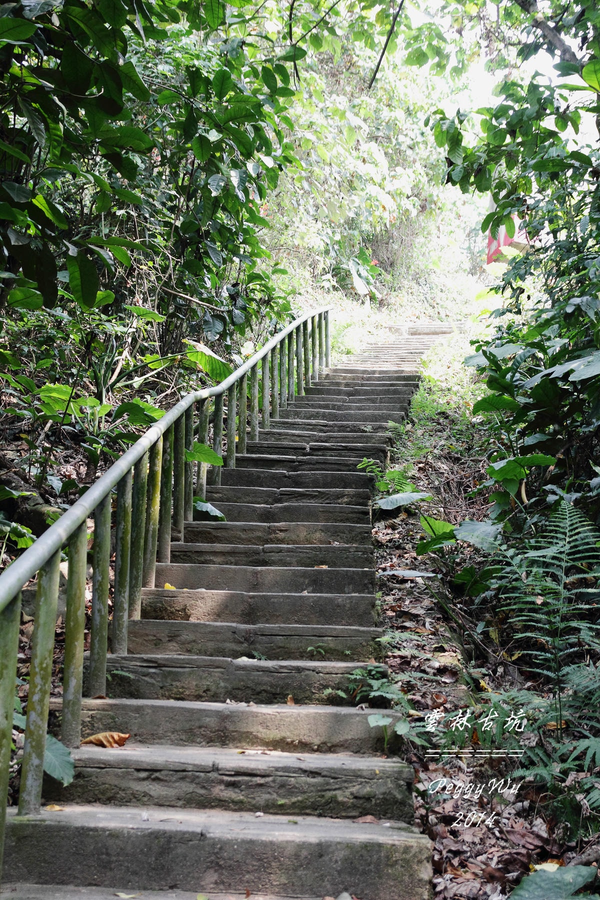 20251013-dj6dg 20251013-dj6dg