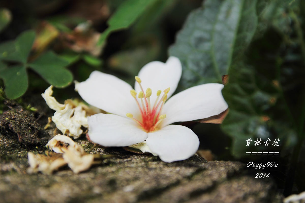 20251013-euv7h 20251013-euv7h