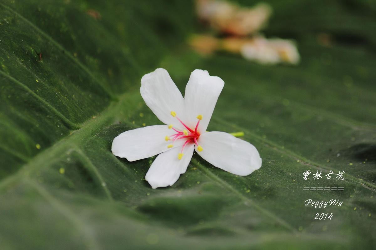 20251013-f0vu2 20251013-f0vu2