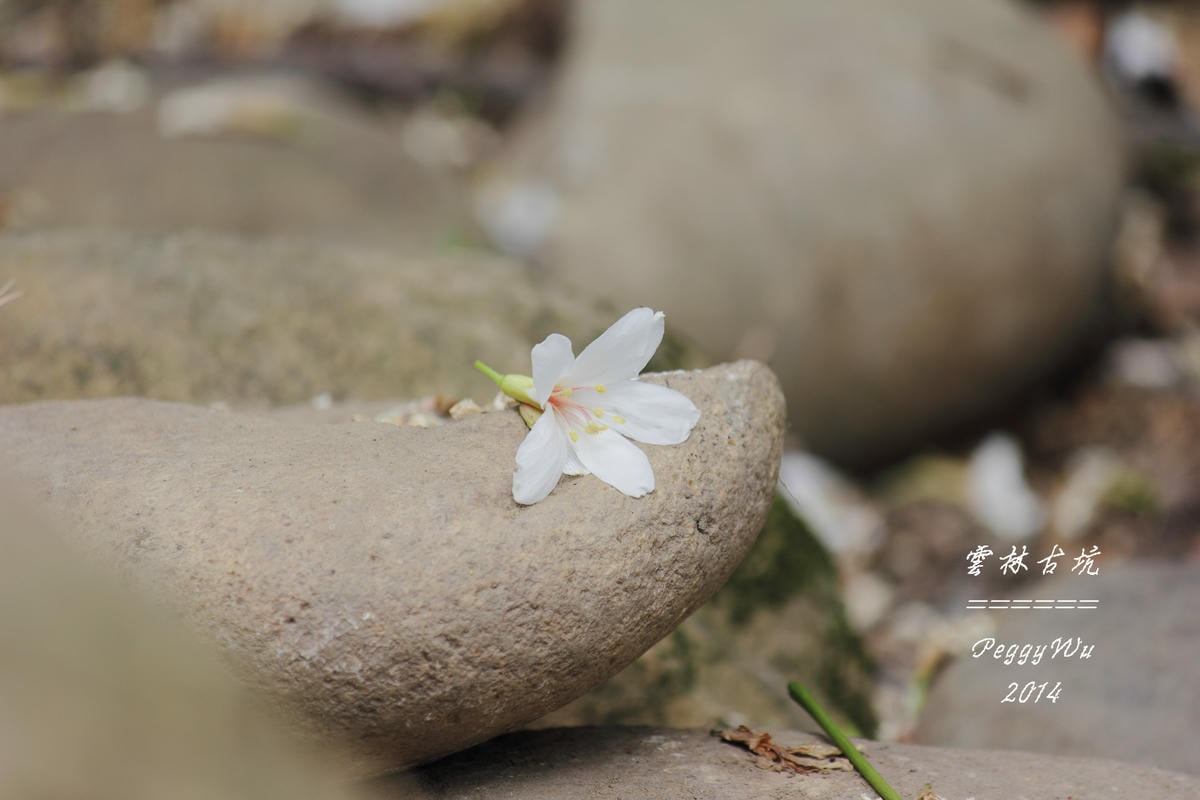 20251013-fm7ly 20251013-fm7ly