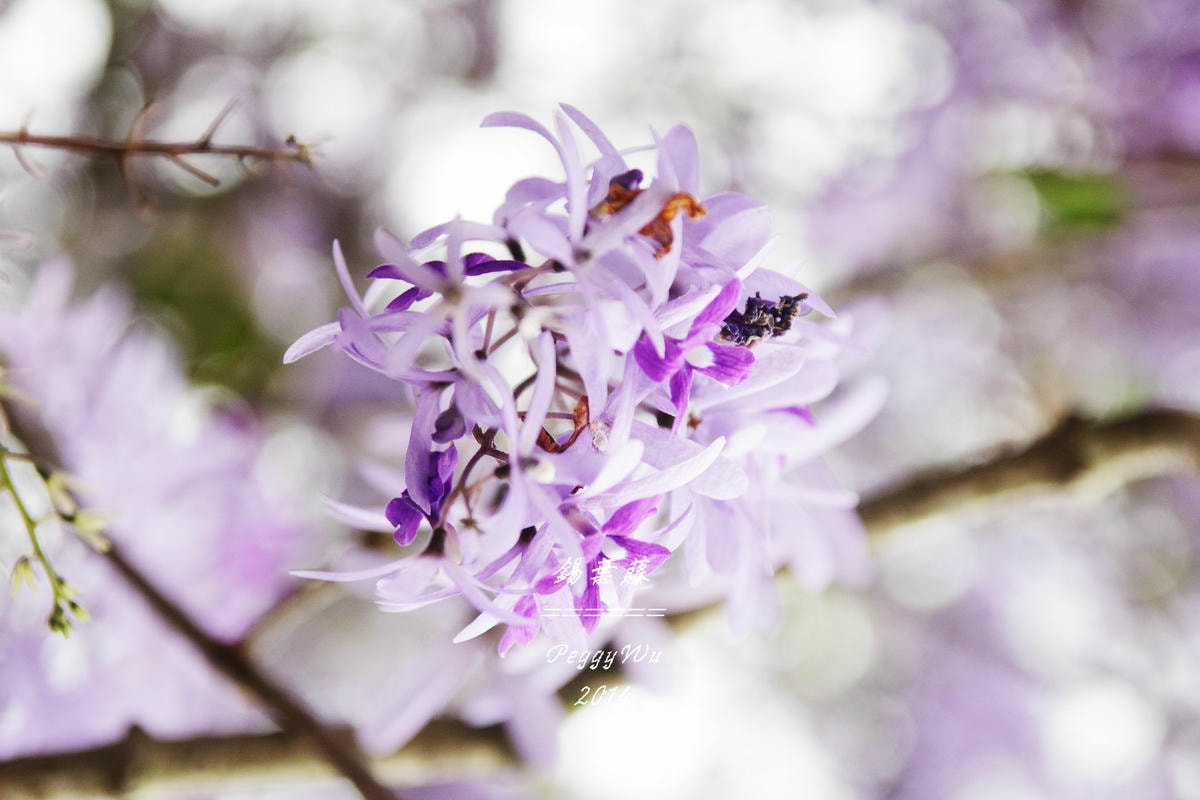 20251013-i6st8 20251013-i6st8