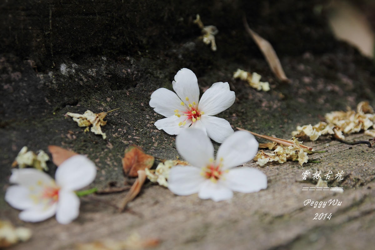 20251013-jd46r 20251013-jd46r