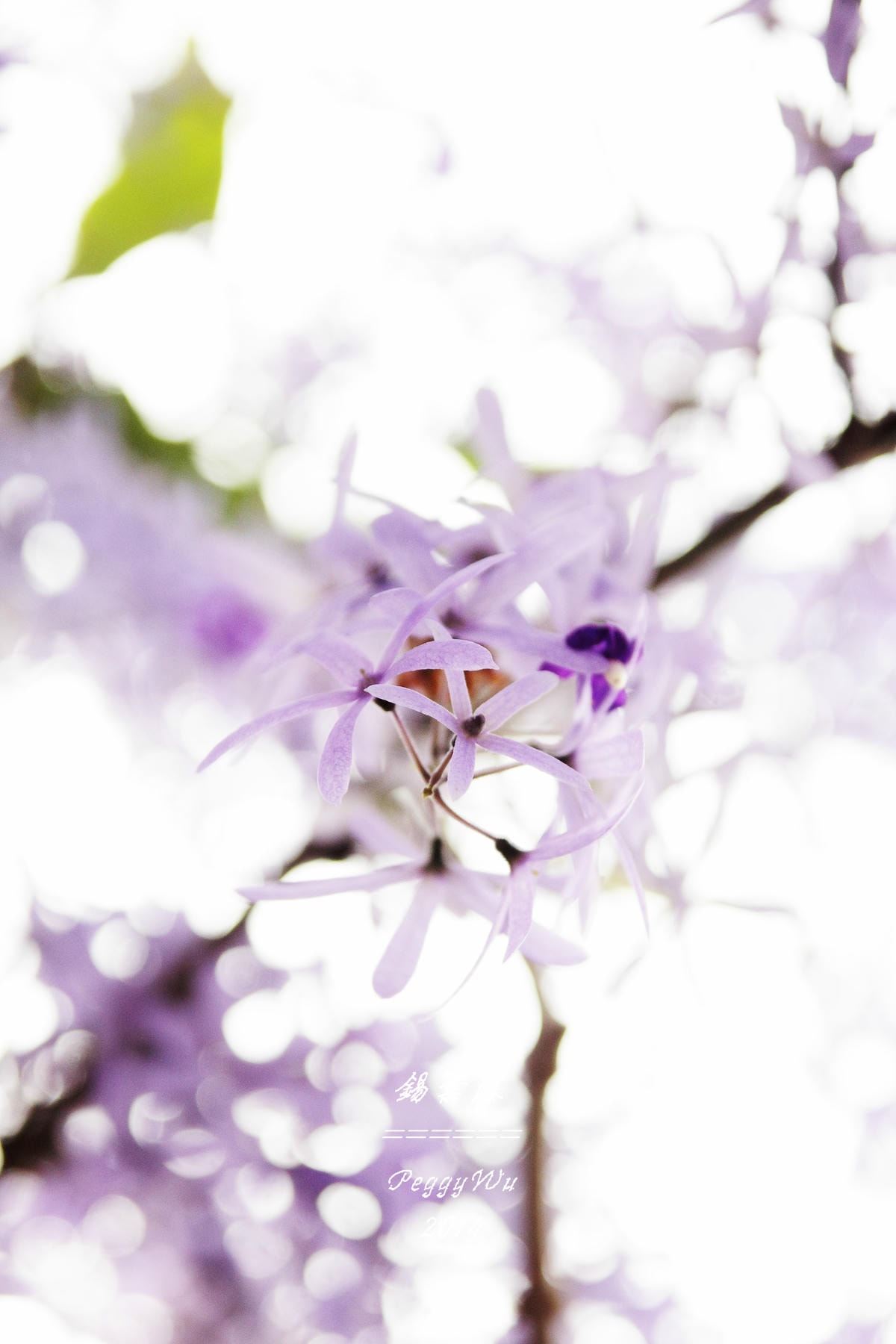 20251013-jfjm4 20251013-jfjm4