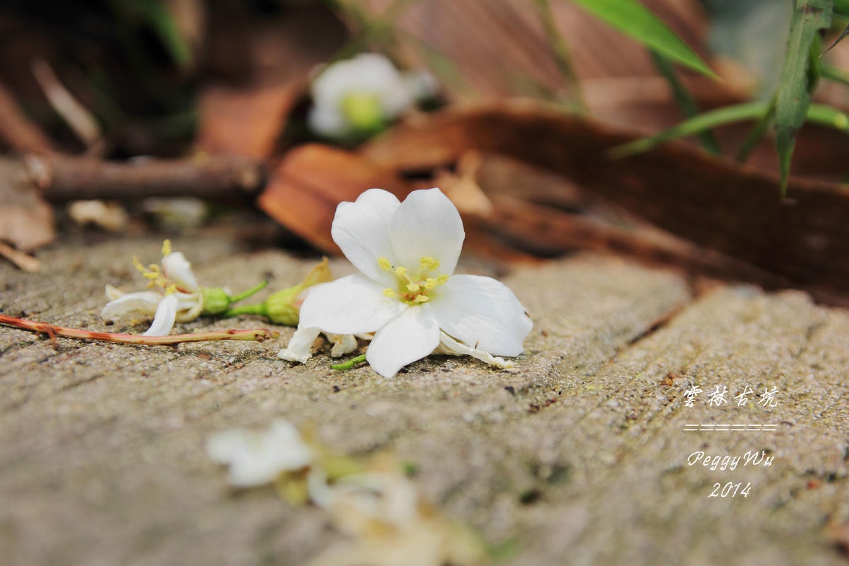 20251013-jjgl1 20251013-jjgl1