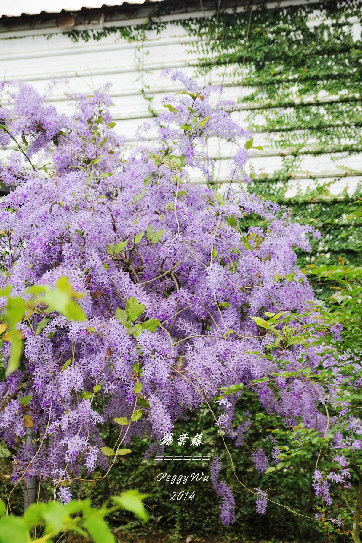 20251013-k2t30 20251013-k2t30