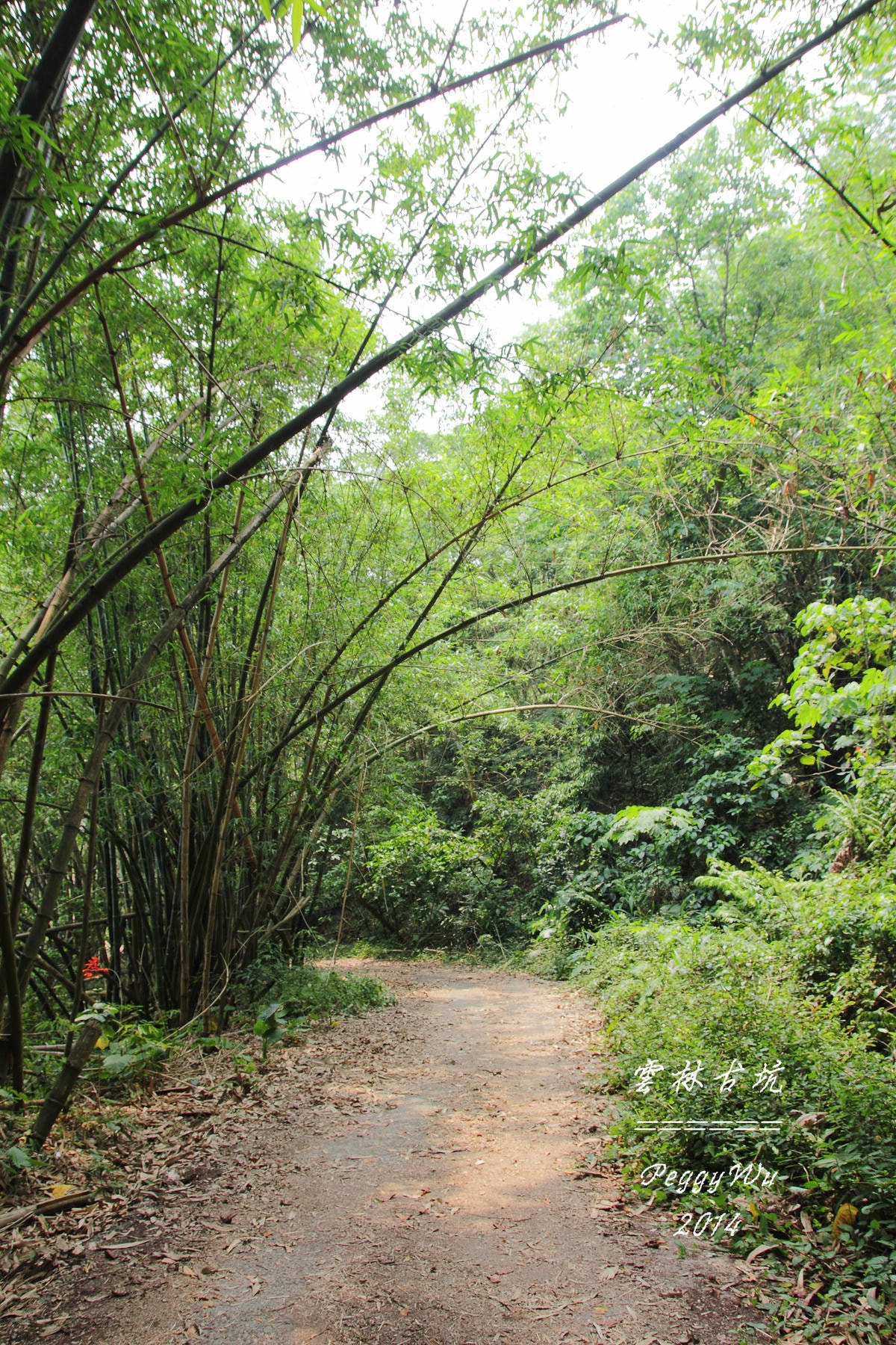 20251013-lc3mn 20251013-lc3mn