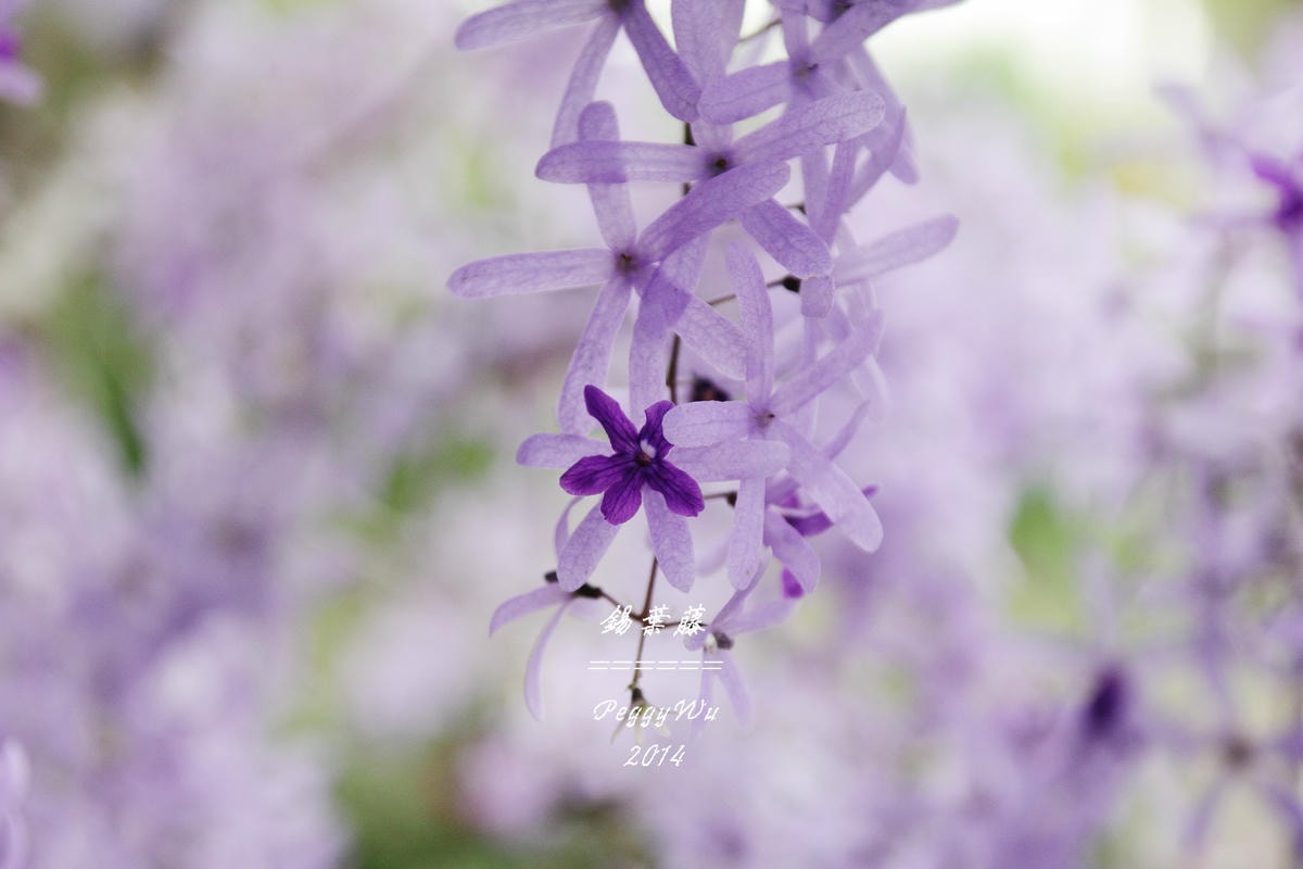 20251013-lcox3 20251013-lcox3