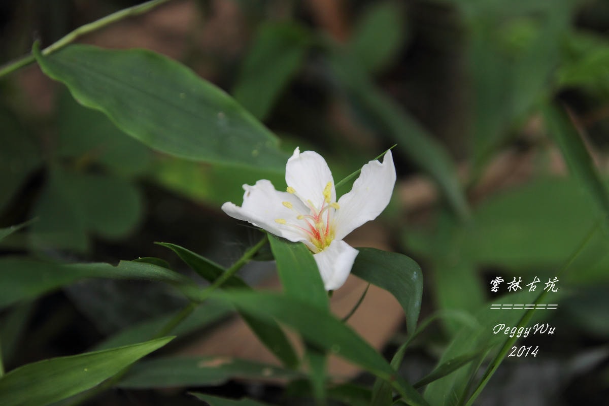 20251013-lmala 20251013-lmala