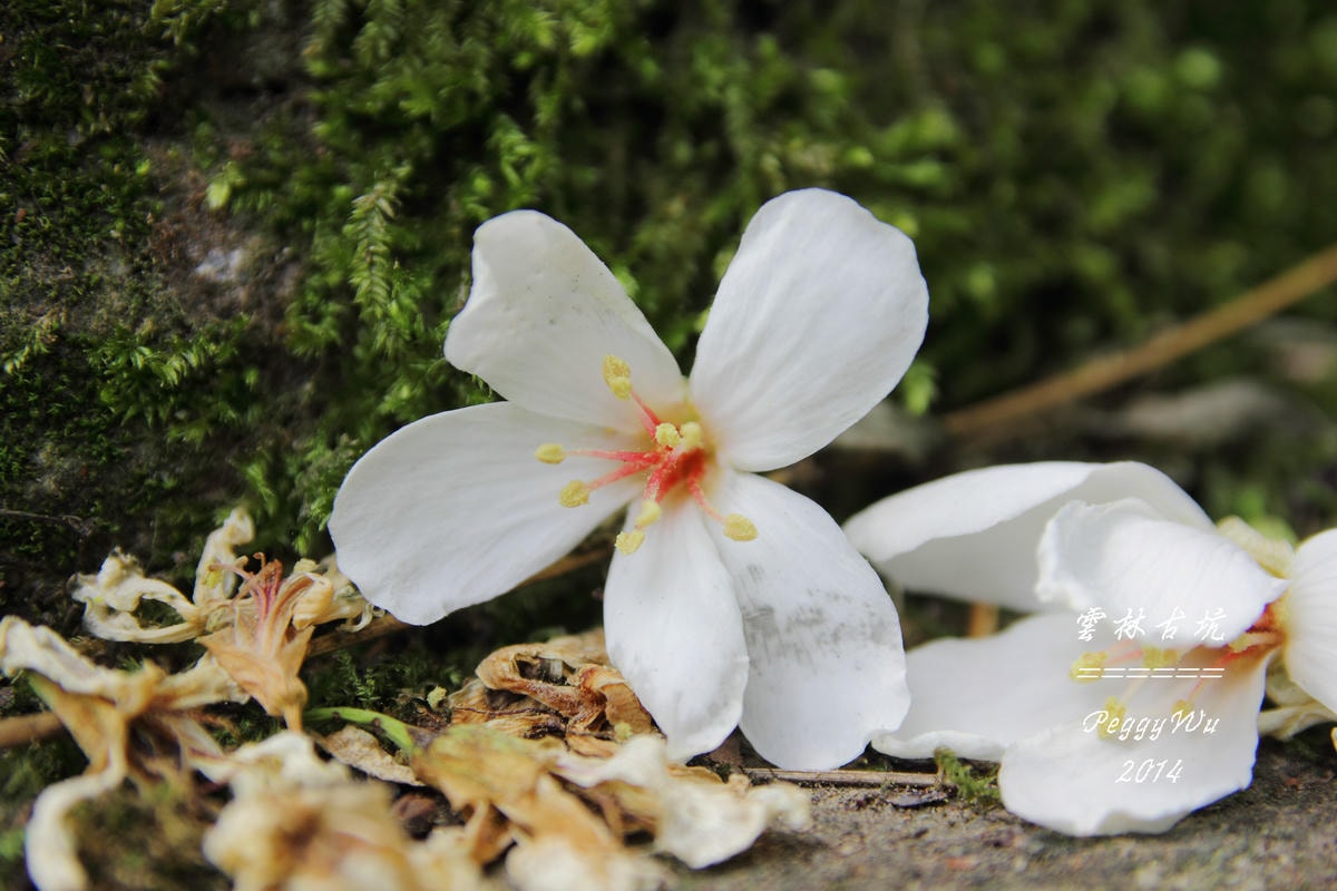 20251013-mm3w2 20251013-mm3w2