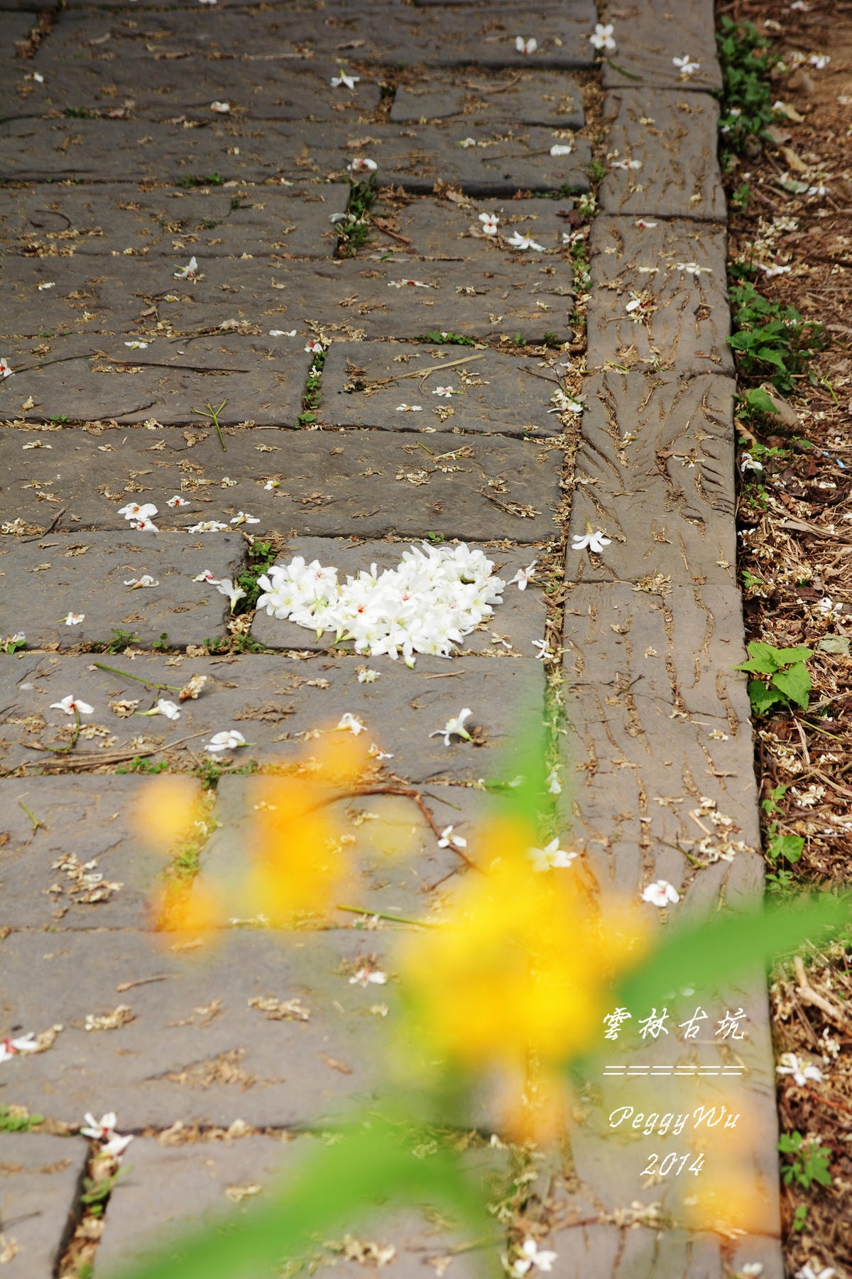 20251013-nehe9 20251013-nehe9