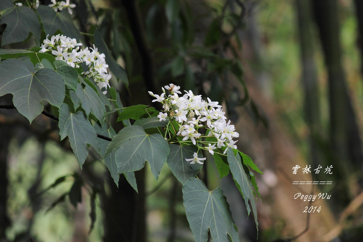 20251013-o8pad 20251013-o8pad