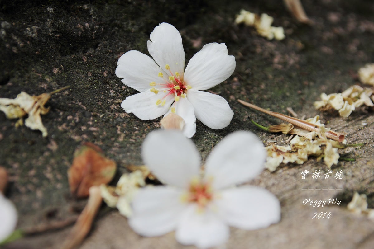 20251013-oabj0 20251013-oabj0