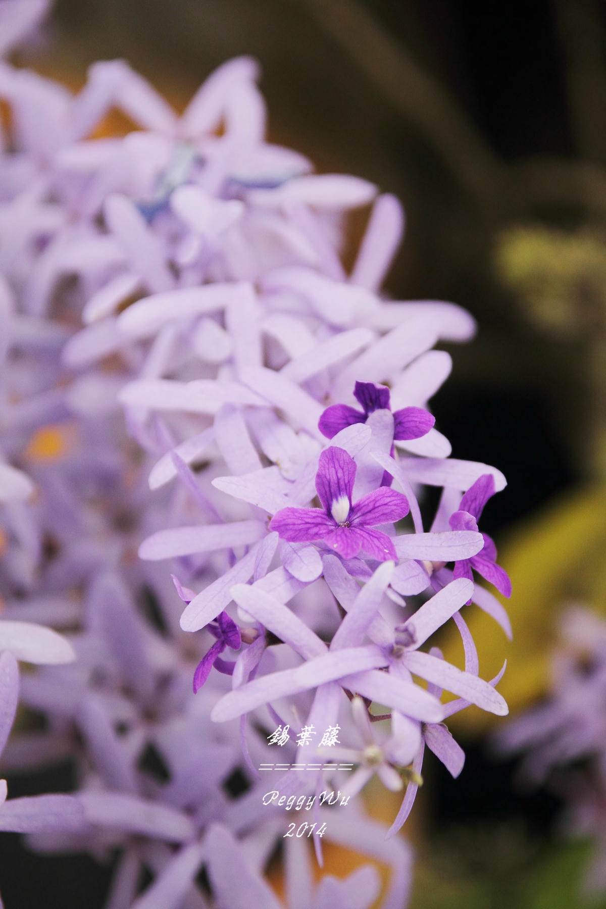 20251013-okff9 20251013-okff9