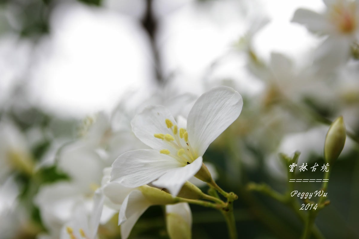 20251013-p39zm 20251013-p39zm