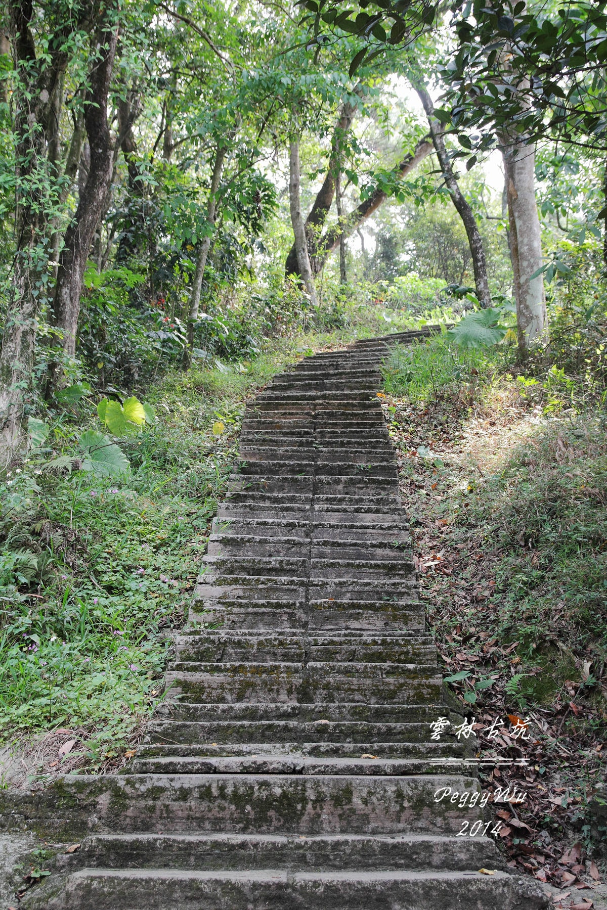 20251013-pnjyj 20251013-pnjyj