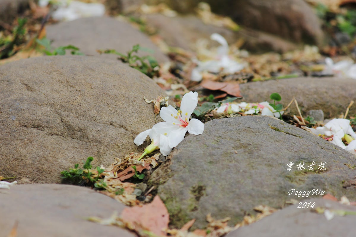 20251013-prgov 20251013-prgov