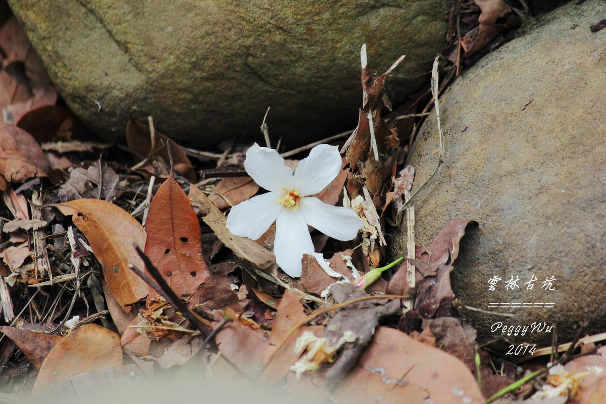 20251013-qfoba 20251013-qfoba