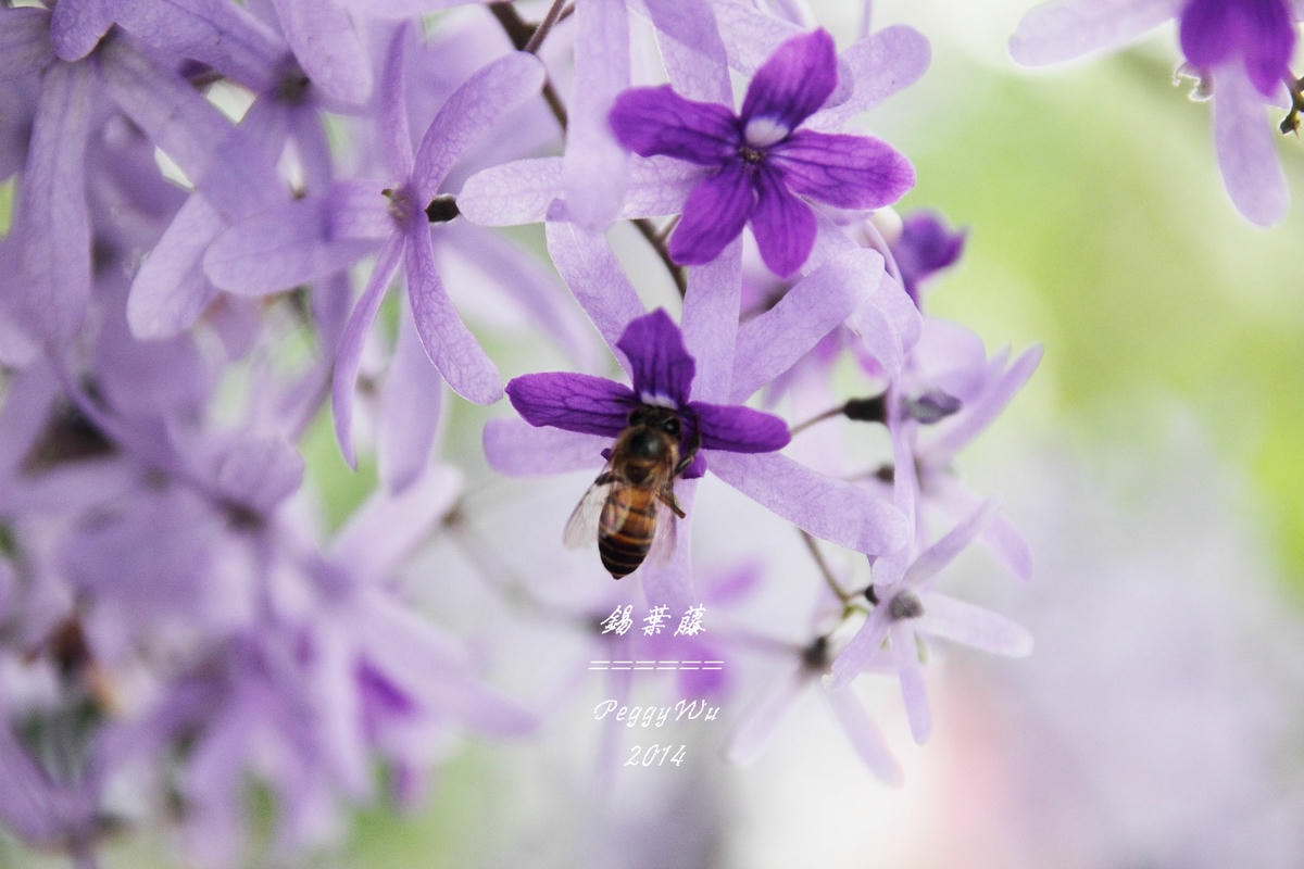 20251013-qw2ls 20251013-qw2ls