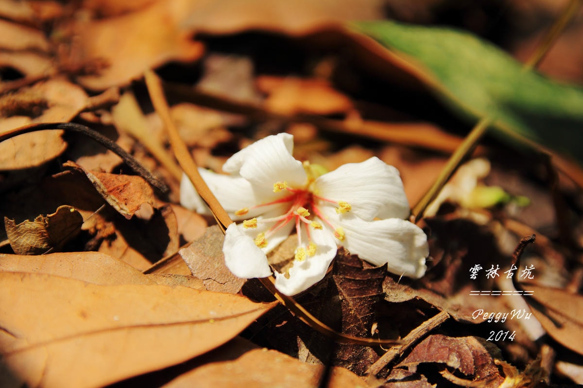 20251013-r55bp 20251013-r55bp