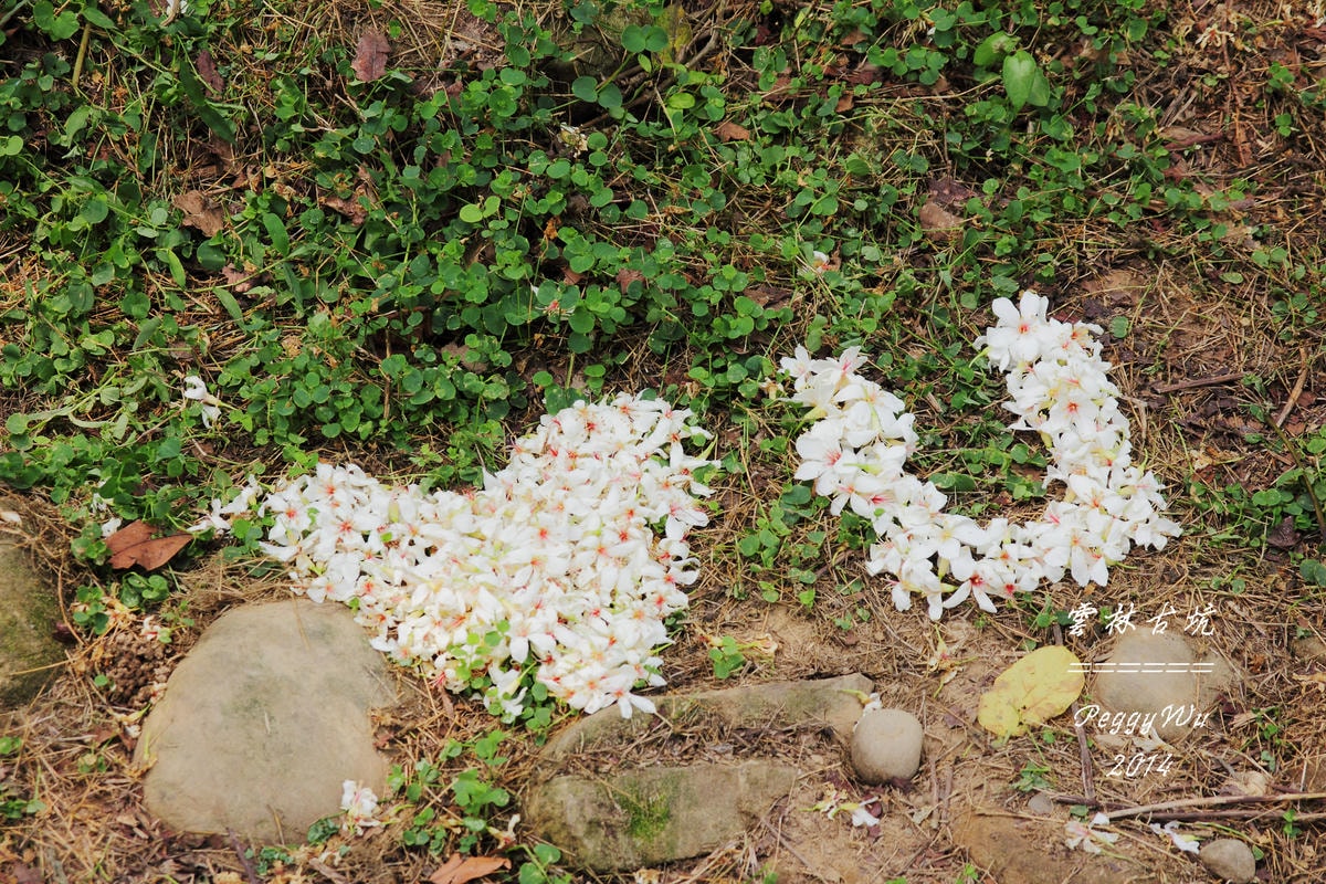 20251013-r819d 20251013-r819d