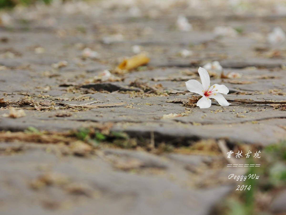 20251013-rbjic 20251013-rbjic