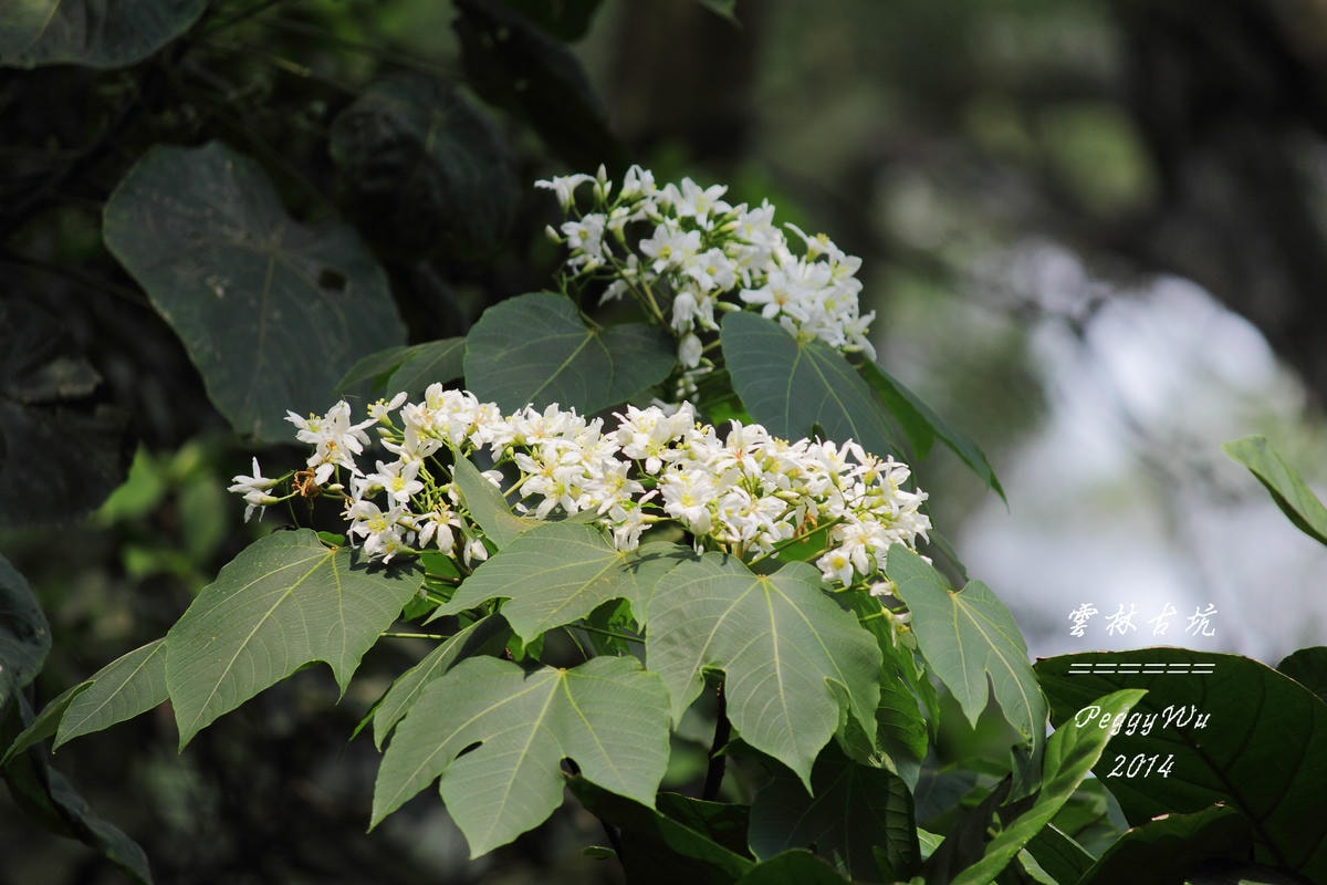 20251013-rnof3 20251013-rnof3