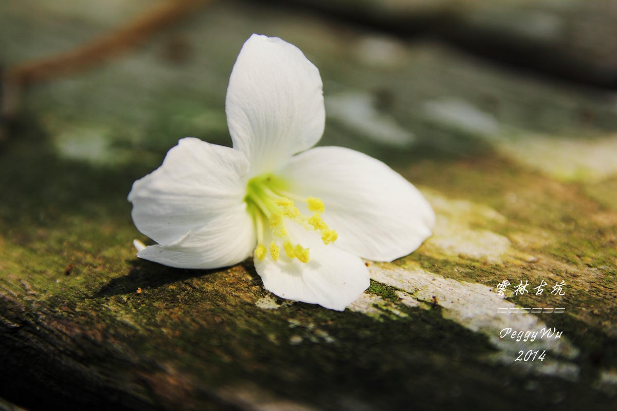 20251013-sfvac 20251013-sfvac