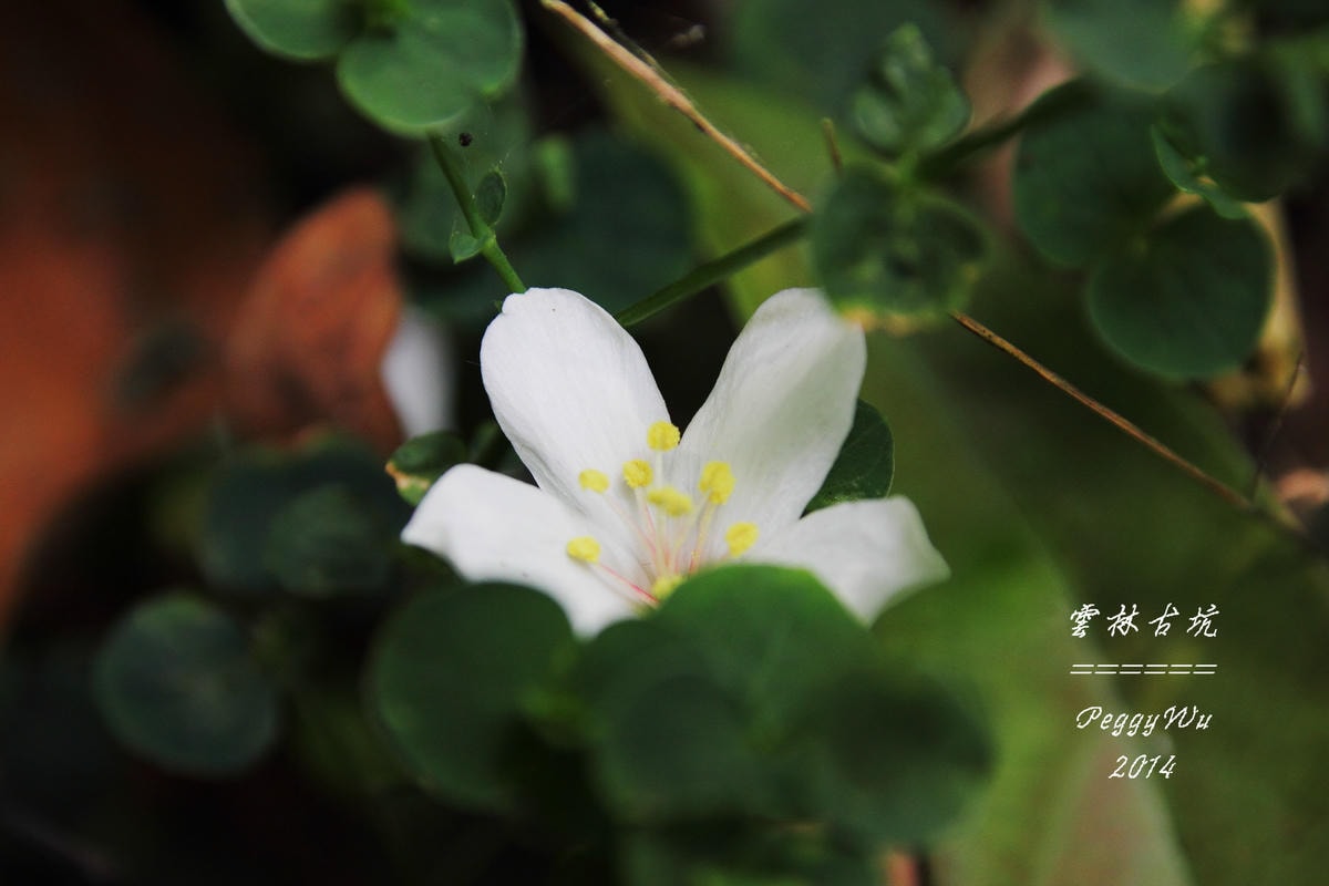 20251013-tbh98 20251013-tbh98