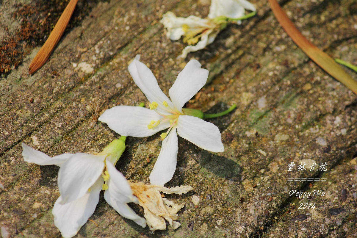 20251013-uams3 20251013-uams3