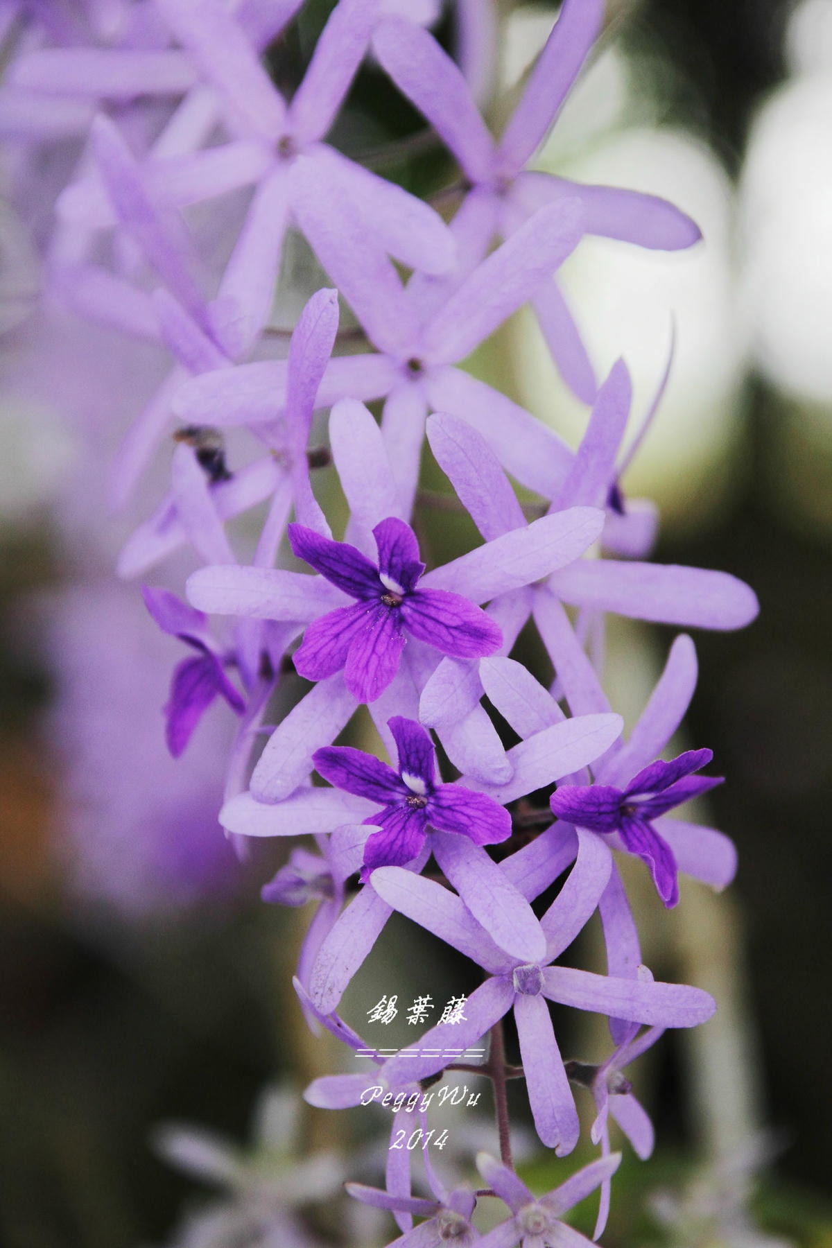 20251013-ud7sm 20251013-ud7sm