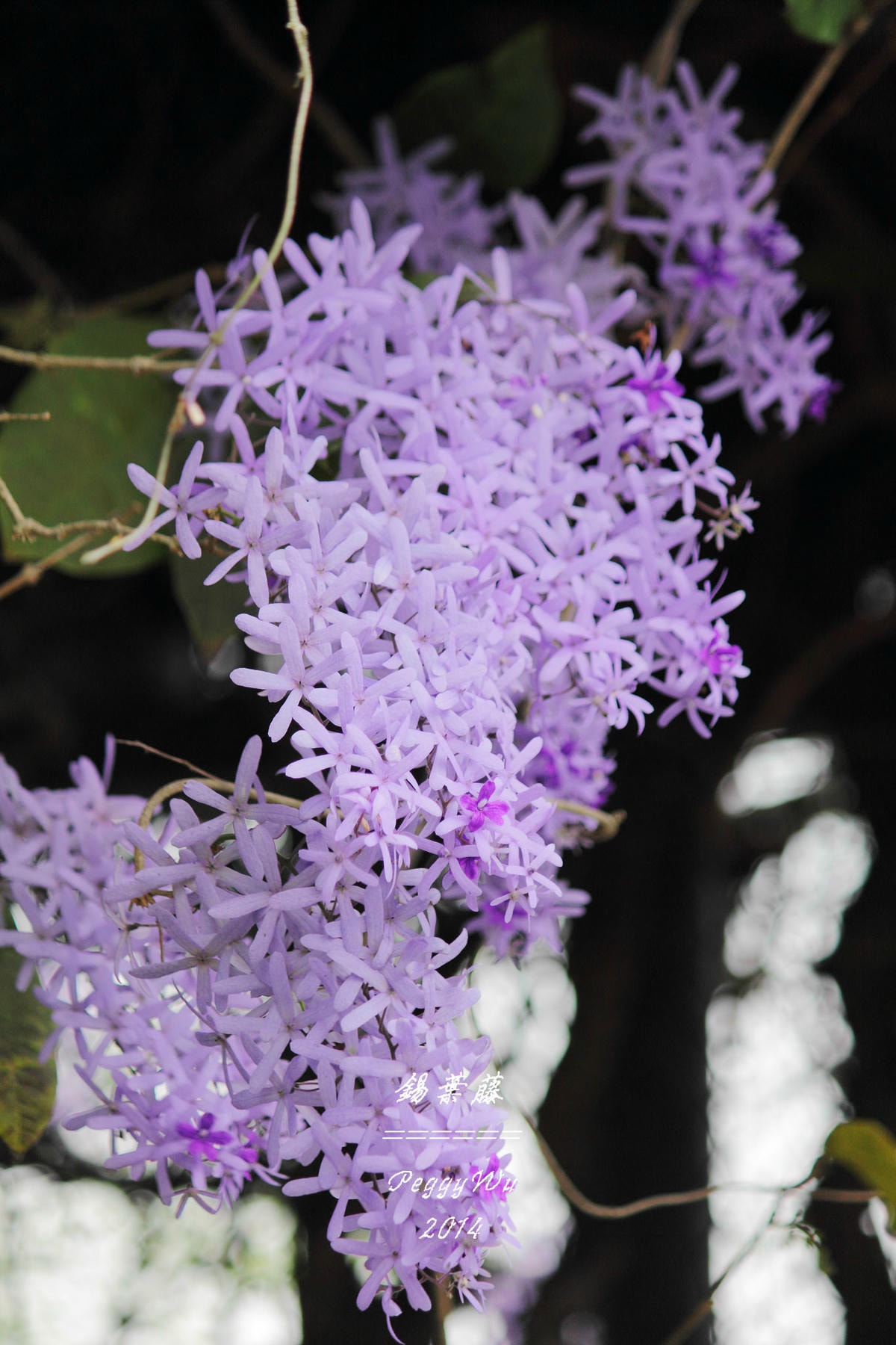 20251013-ug33x 20251013-ug33x