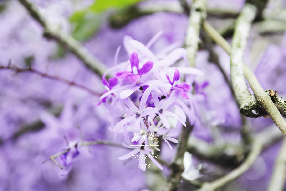 20251013-wjlnj 20251013-wjlnj