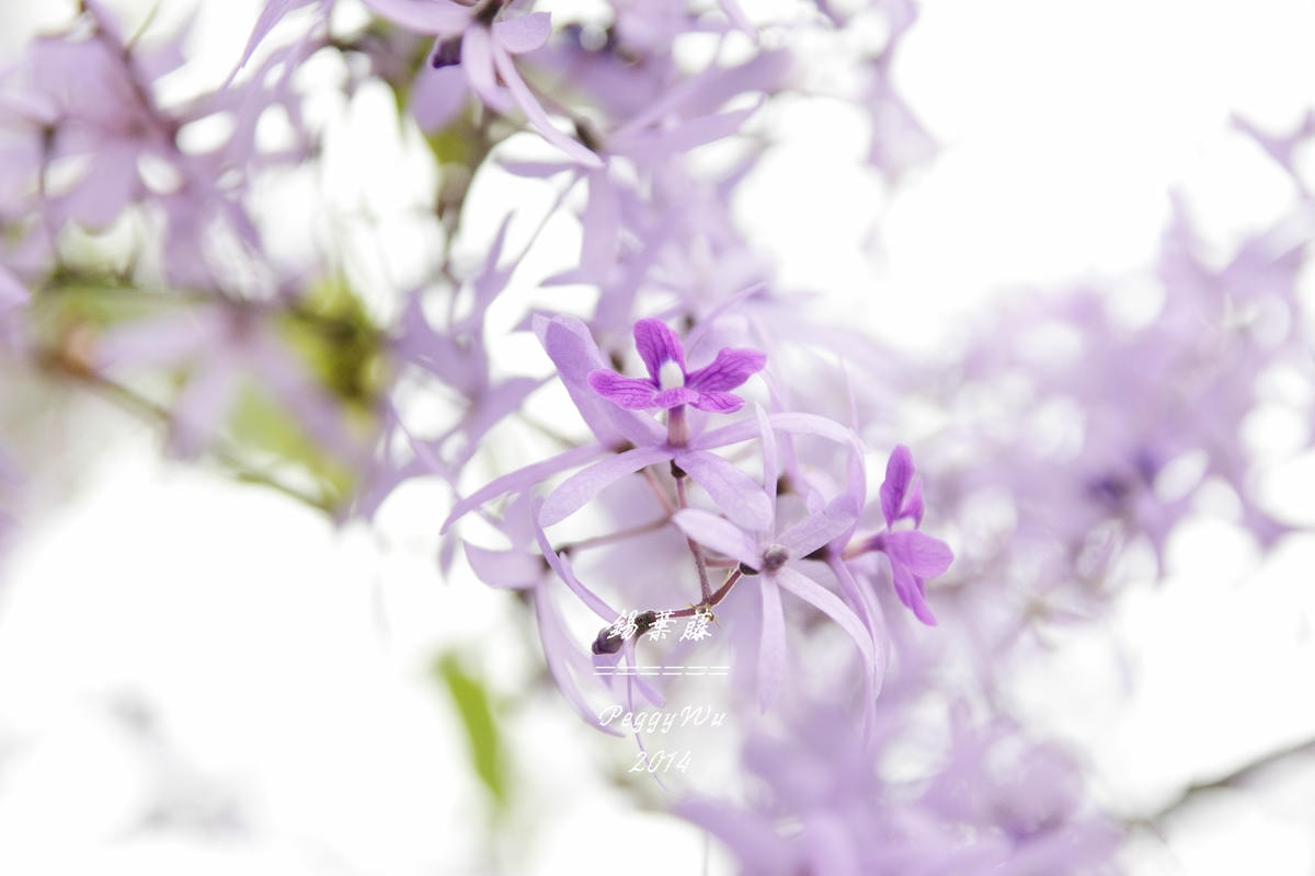 20251013-x8ea2 20251013-x8ea2