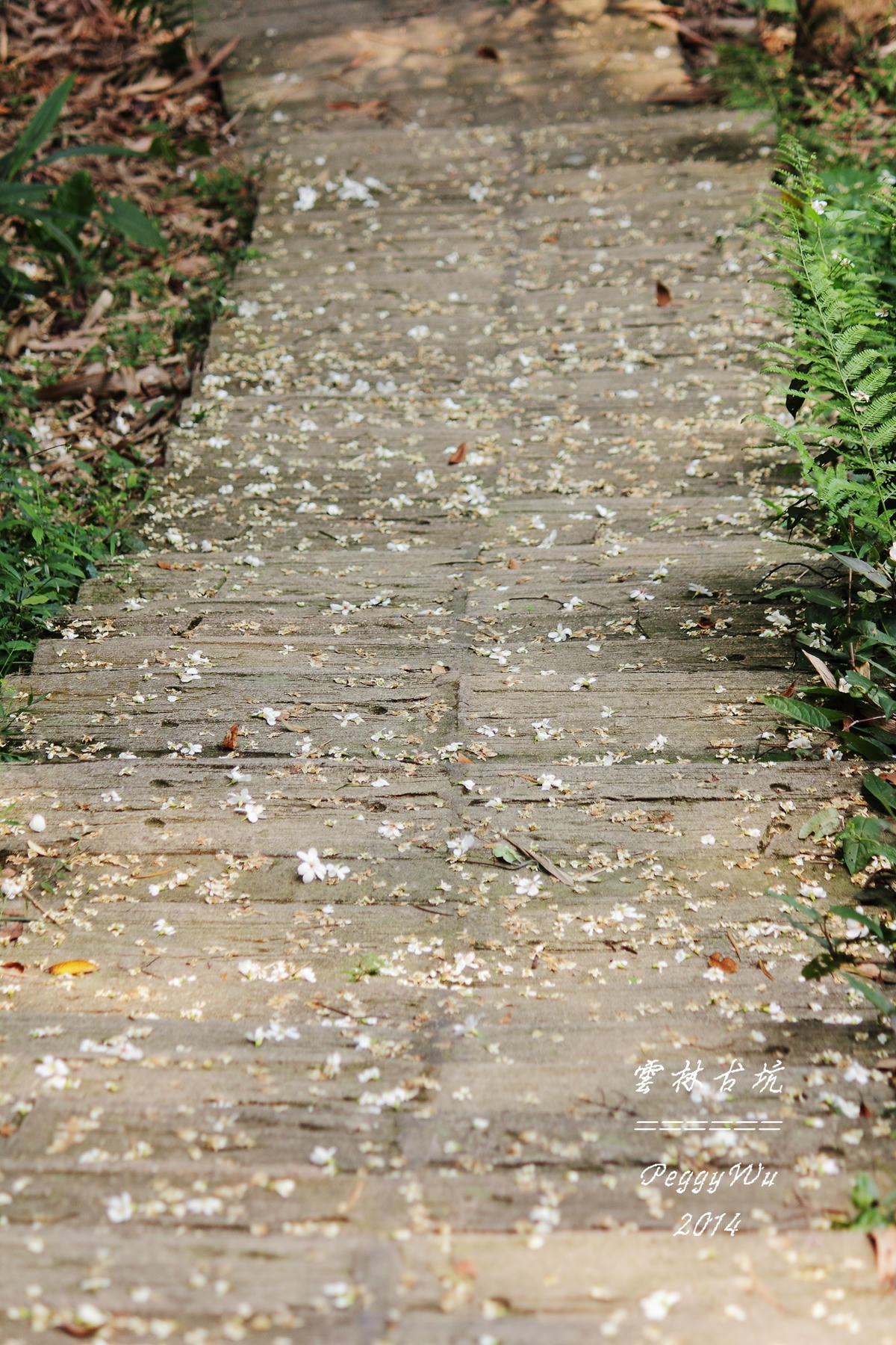 20251013-x8ww7 20251013-x8ww7