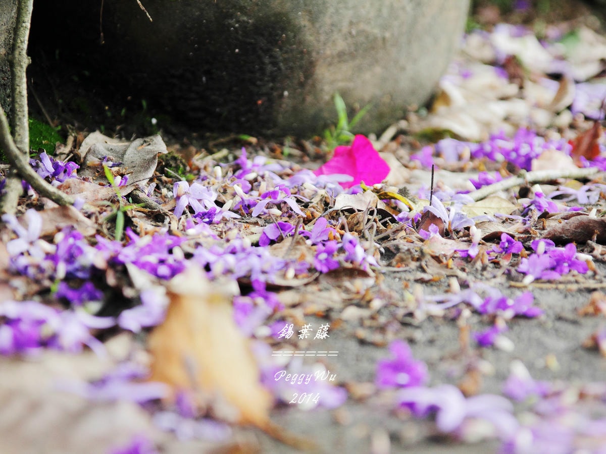 20251013-zqojx 20251013-zqojx