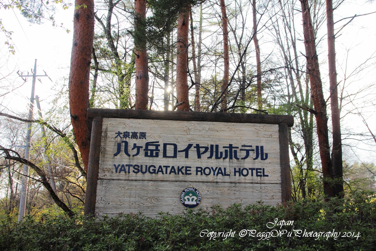 20251013-6e410 20251013-6e410