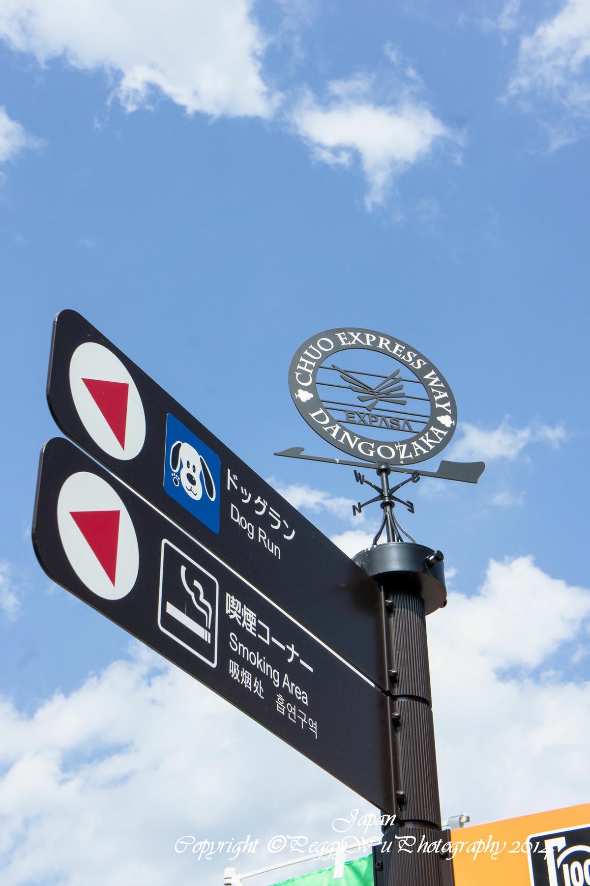 20251013-gc99l 20251013-gc99l