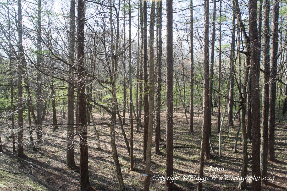 20251013-nrutp 20251013-nrutp