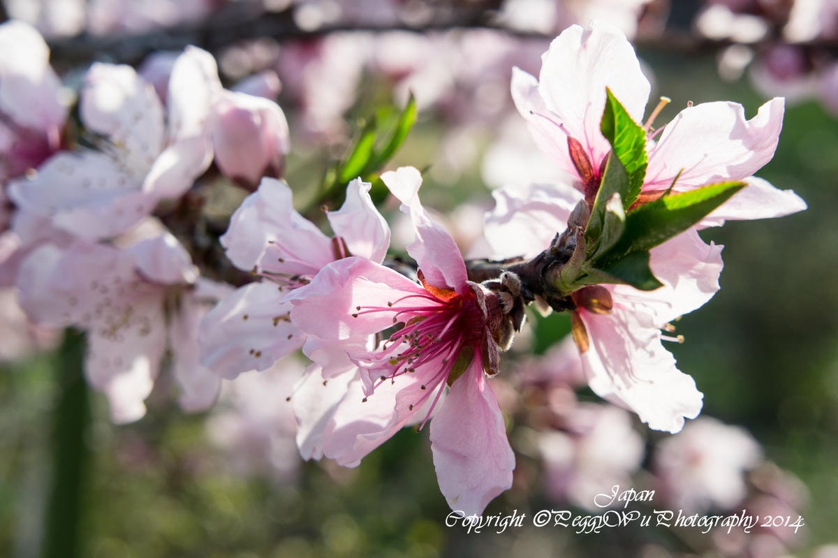 20251013-074hd 20251013-074hd