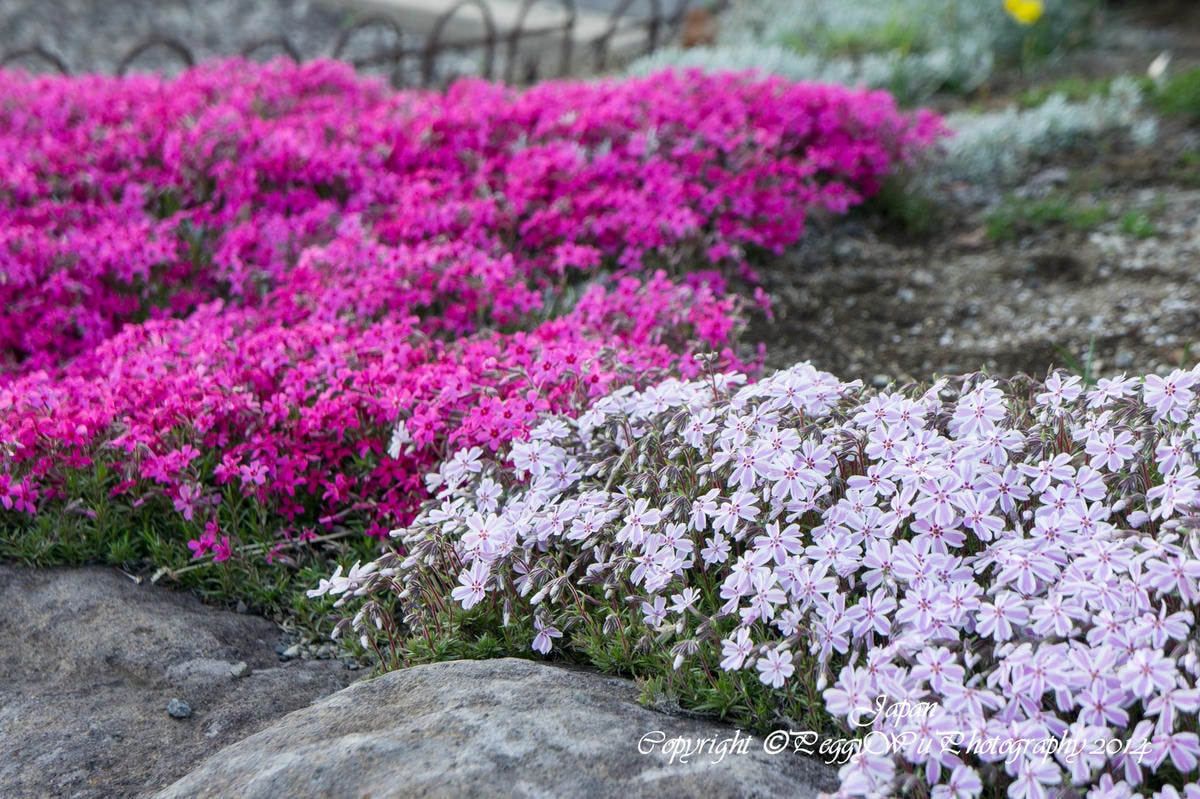 20251013-b4yxa 20251013-b4yxa