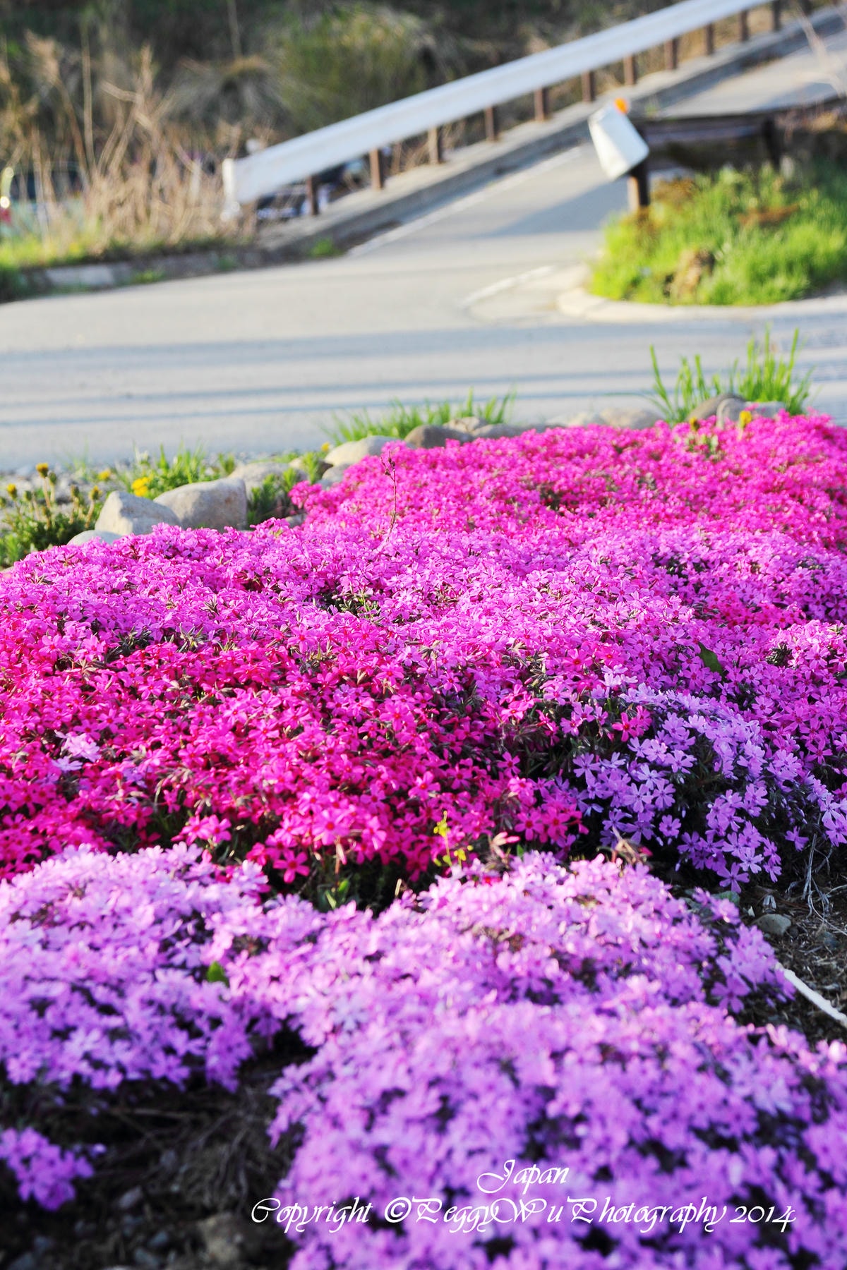 20251013-cycfk 20251013-cycfk