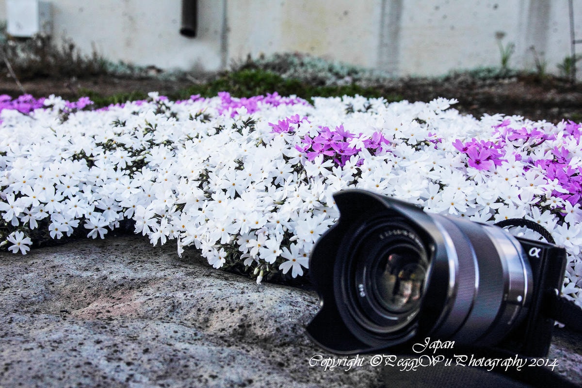 20251013-dmgew 20251013-dmgew