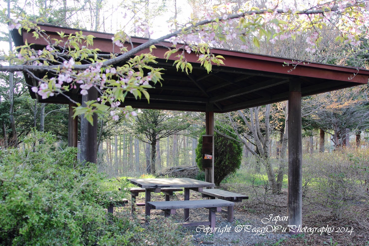 20251013-fdjbe 20251013-fdjbe