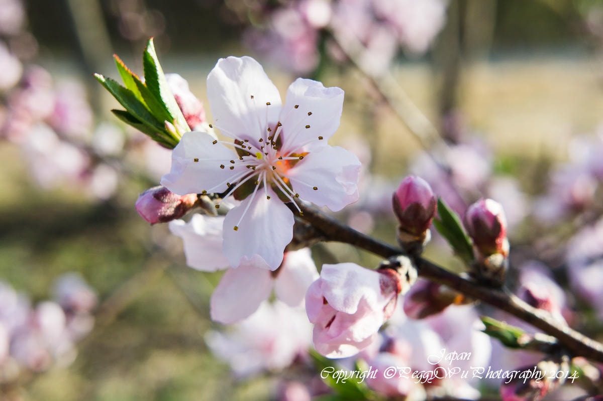 20251013-gne7e 20251013-gne7e