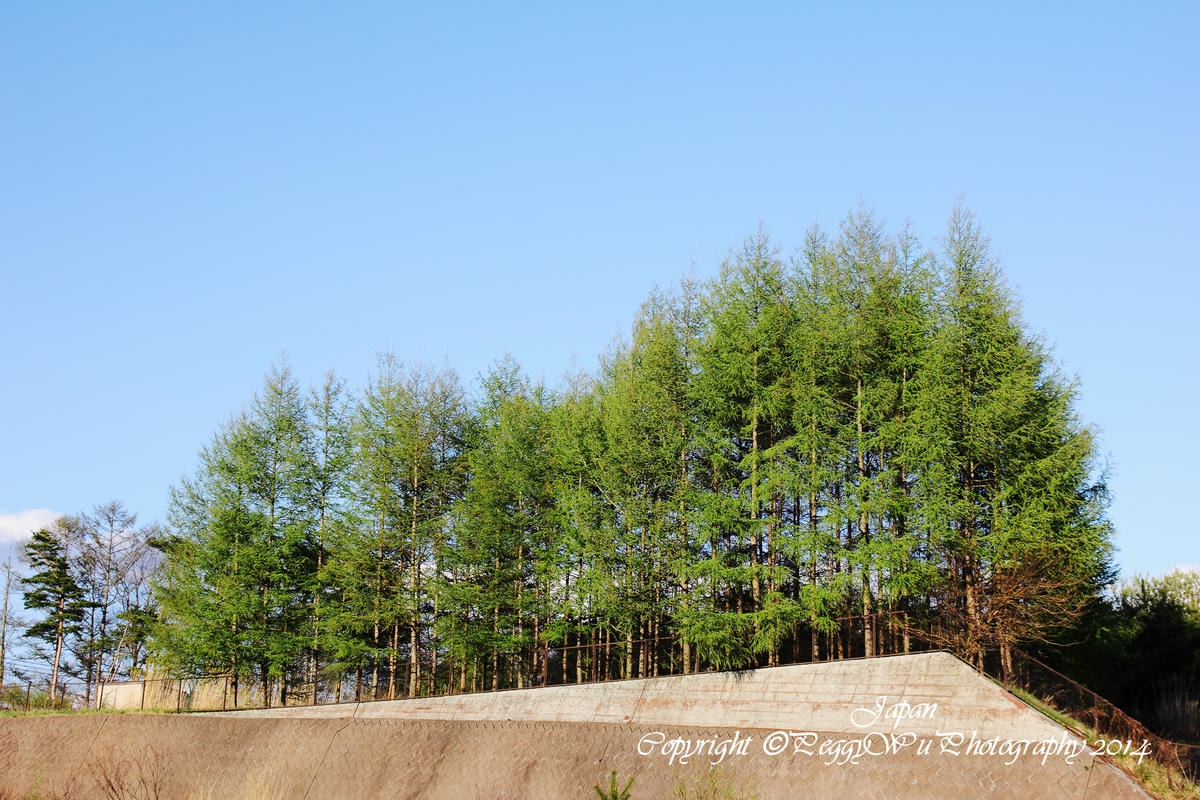 20251013-sjr8j 20251013-sjr8j