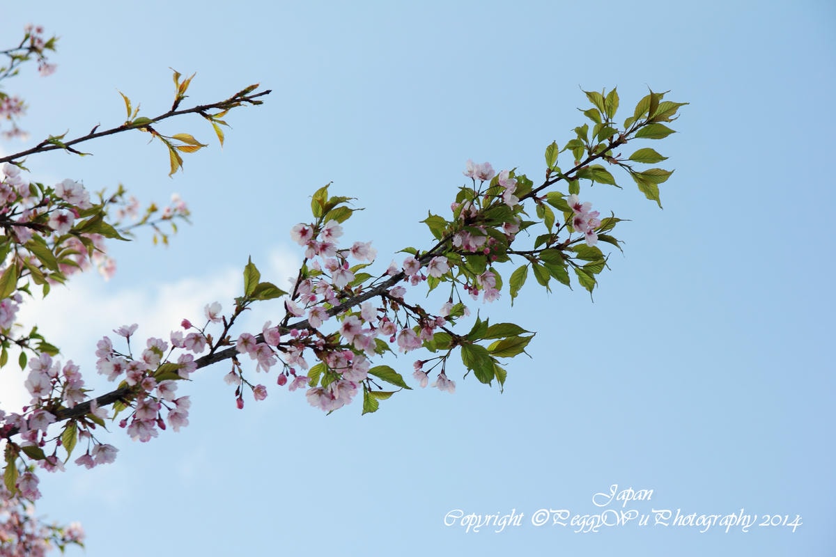 20251013-v9s3j 20251013-v9s3j