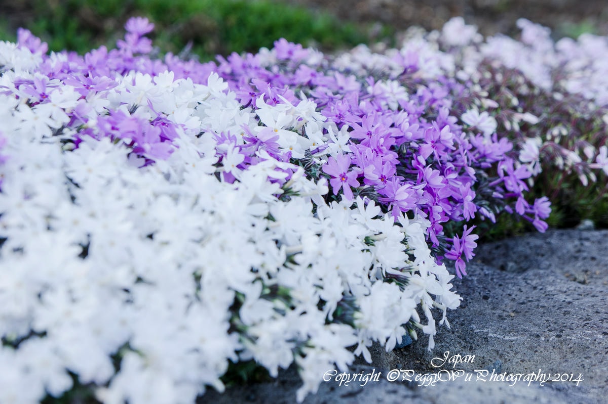 20251013-x1u9t 20251013-x1u9t