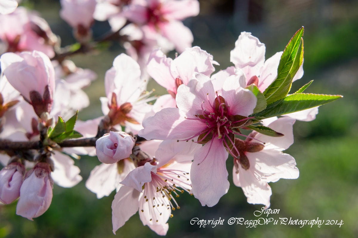 20251013-yztel 20251013-yztel